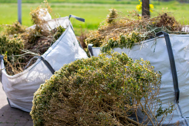 Best Trash Removal Near Me  in Conley, GA